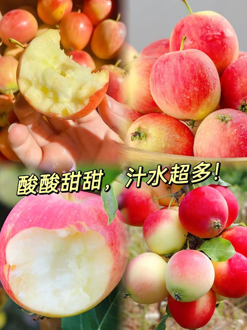新鲜应季水果 #助力家乡农产品 #抖音助农扶农 鲜艳的外皮
