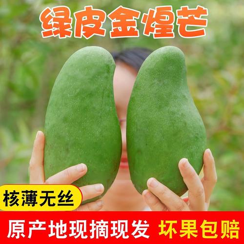 广西青皮小金煌芒果现摘热带水果新鲜当季农产品树熟整箱产地批发