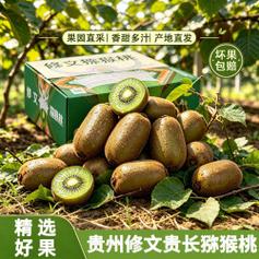 花三岁 贵州修文猕猴桃绿心应季水果当季新鲜猕猴桃